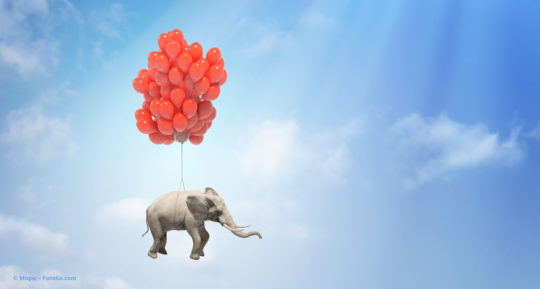 Viele rote Luftballons tragen Elefanten © Mopic – Fotolia.com