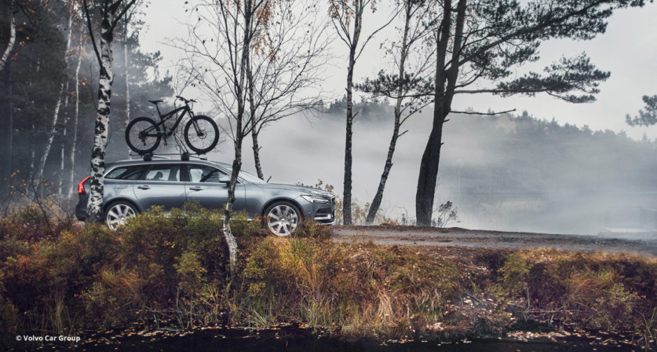 Ein Volvo V90 mit Fahrrad auf dem Dach fährt auf einem Waldweg © Volvo Car Group